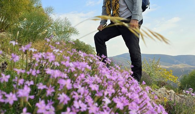 Zoveser Dağı doğal güzellikleriyle ziyaretçileri ağırlıyor