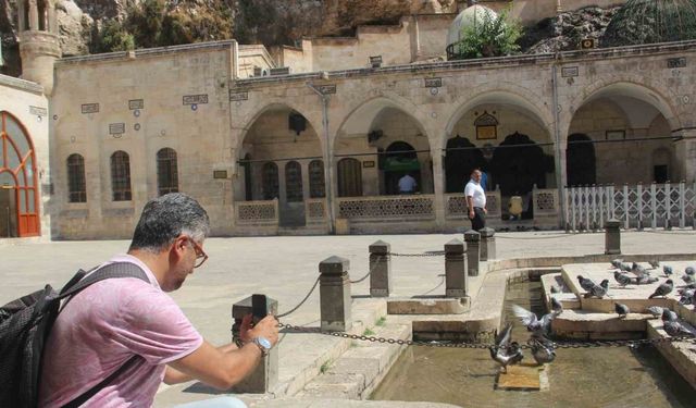 Sıcaktan bunalan güvercinler Balıklıgöl suyunda serinledi