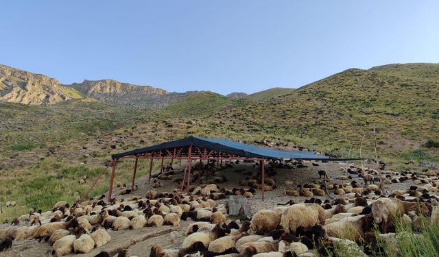 Mera alanlarının ıslah edilmesi çalışmaları sürüyor