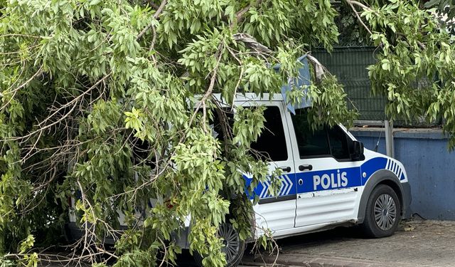 Şiddetli rüzgar'dan park halinde olan aracın üzerine ağaç devrildi