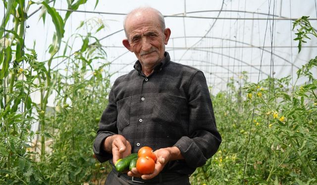 74 yaşındaki çiftçi, ömrünü organik tarıma adadı