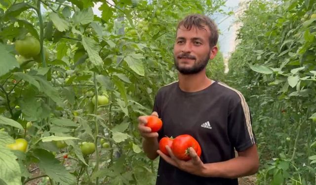 Tarım işçiliğinden patronluğa