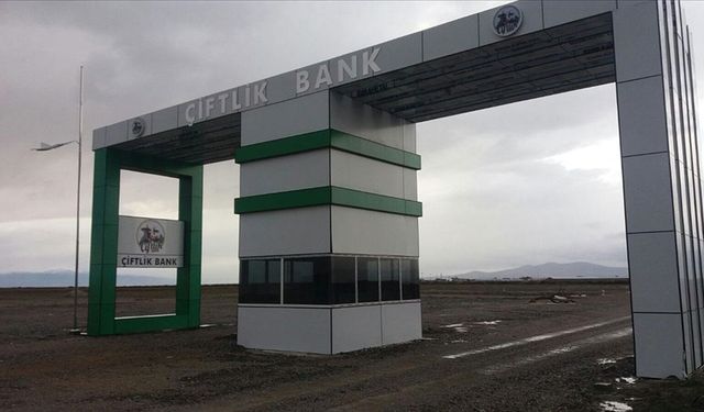 "Çiftlik Bank" davasında sanıkların yargılanmasına devam edildi