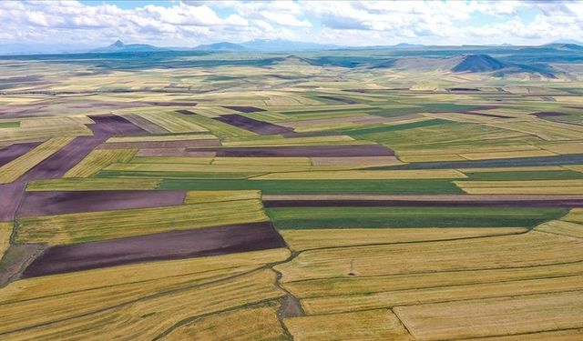 Uzmanlar arsa alırken dikkat edilmesi gerekenleri açıkladı