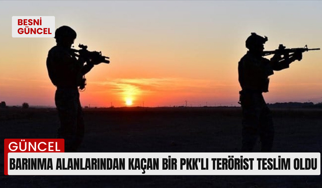 Barınma alanlarından kaçan bir PKK'lı terörist teslim oldu