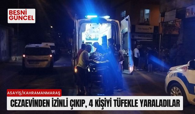 Cezaevinden izinli çıkıp, 4 kişiyi tüfekle yaraladılar