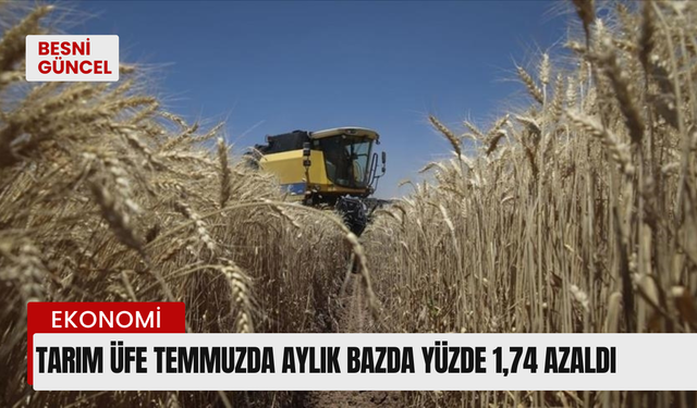 Tarım ÜFE temmuzda aylık bazda yüzde 1,74 azaldı