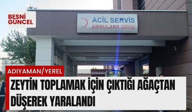 Zeytin toplamak için çıktığı ağaçtan düşerek yaralandı