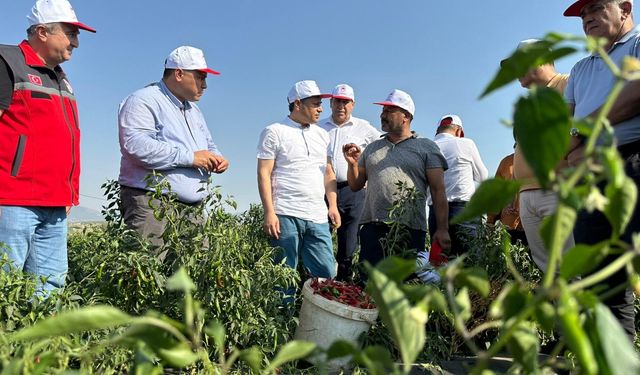 AK Parti Milletvekili Şahin, İslahiye'de çiftçilerle buluştu