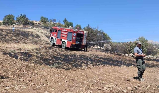 Anız yangını fıstık bahçelerine sıçradı