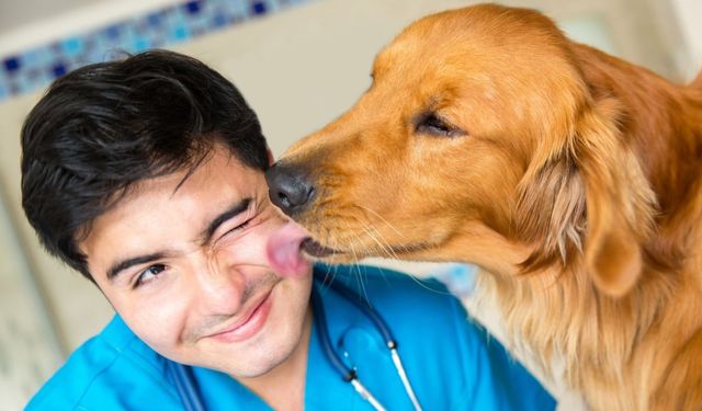 Bahçede ve doğada yürüyüş yapan köpek sahiplerine uyarı