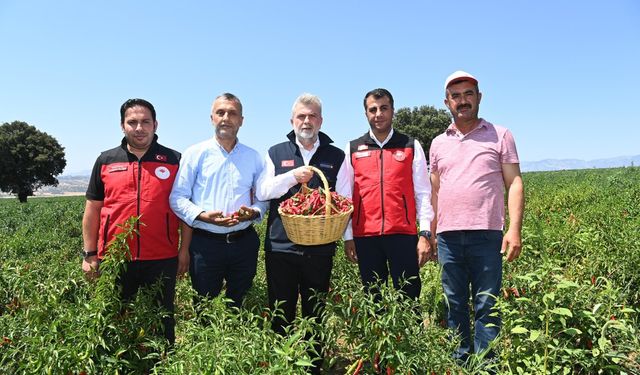 Başkan Görgel: Kahramanmaraş Biberi hasadına katıldı