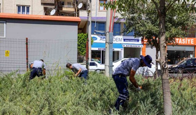 Diyarbakır’da park ve bahçelerde temizlik çalışmaları