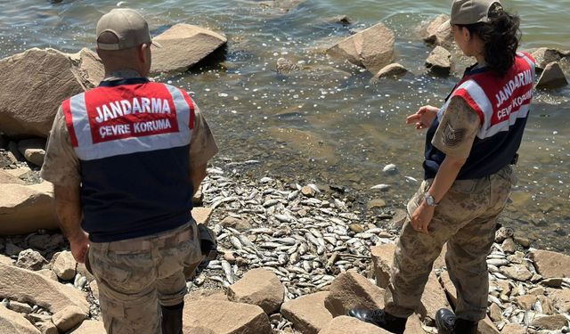 Diyarbakır'daki Devegeçidi Baraj Gölü'nde balık ölümleriyle ilgili inceleme başlatıldı