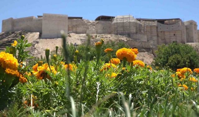 Gaziantep Kalesi’nin restorasyonu 40 derece sıcağa rağmen devam ediyor