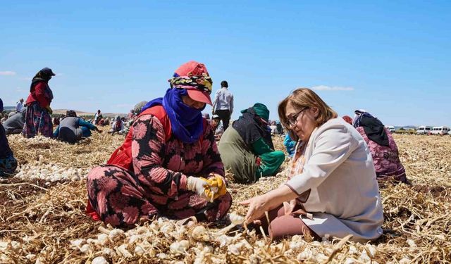 "Haydi Tarladan Sofraya" projesi ile çiftçi ile tüketici buluşturulacak