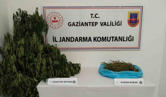 Gaziantep’te uyuşturucu operasyonu: 1 gözaltı