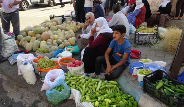 Organik ürünlerdeki bereket fiyatları düşürdü