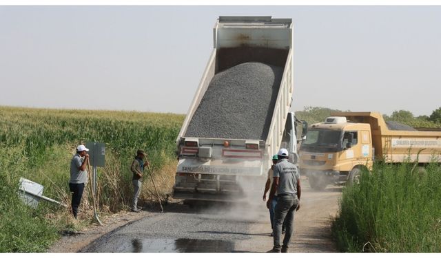 Şanlıurfa Harran’da yollar yenileniyor !