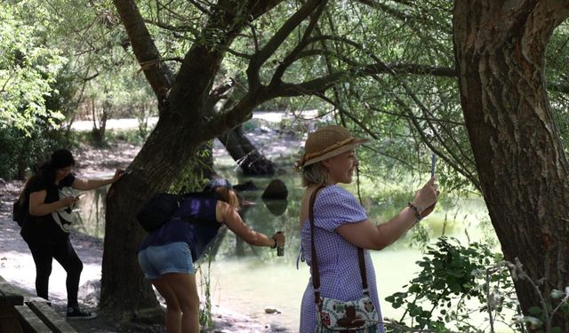 İzmirli Kadınlar ‘Mor Kadraj’ ile Fotoğrafçılık Dünyasına Adım Atıyor