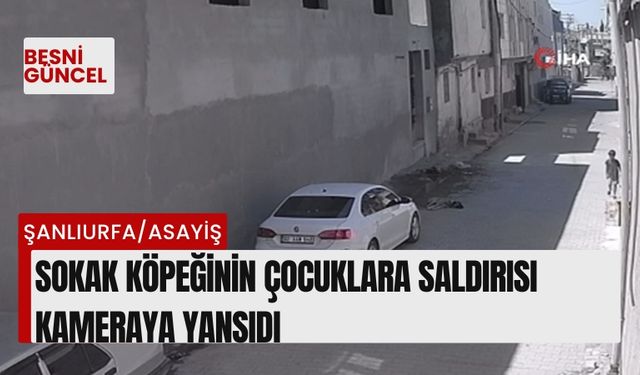 Sokak köpeğinin çocuklara saldırısı kameraya yansıdı