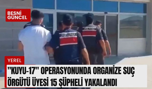 Organize suç örgütü üyesi 15 şüpheli yakalandı !