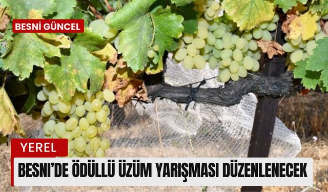 Besni’de Ödüllü Üzüm Yarışması Düzenlenecek