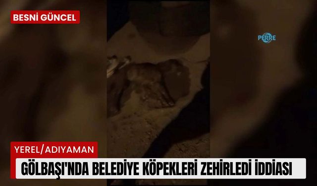 Gölbaşı'nda belediye köpekleri zehirledi iddiası