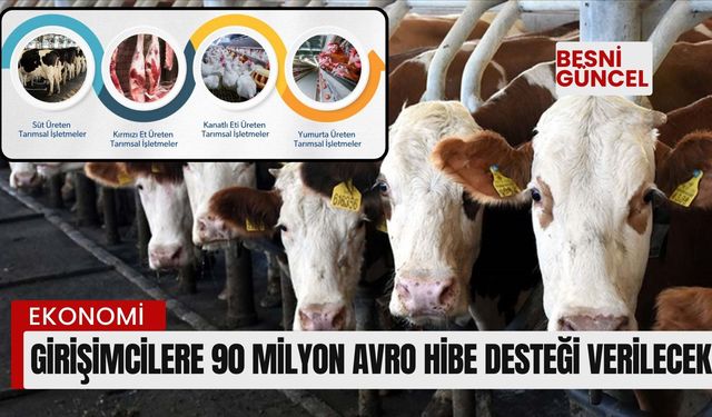 Girişimcilere 90 Milyon avro hibe desteği verilecek