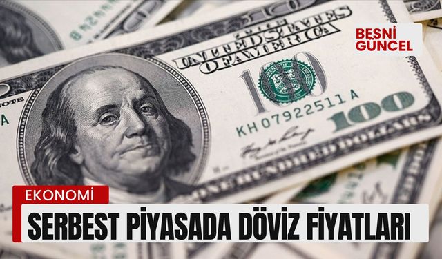 Serbest Piyasa, Döviz Fiyatları