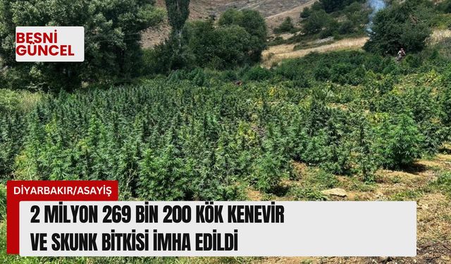 2 milyon 269 bin 200 kök kenevir, skunk bitkisi imha edildi