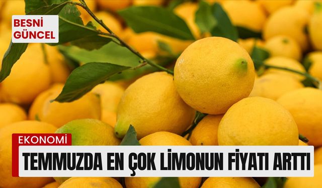 Temmuzda en çok limonun fiyatı arttı