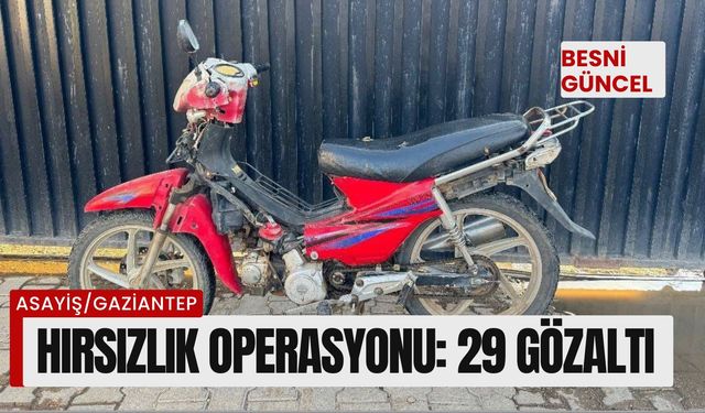 Hırsızlık operasyonu: 29 gözaltı