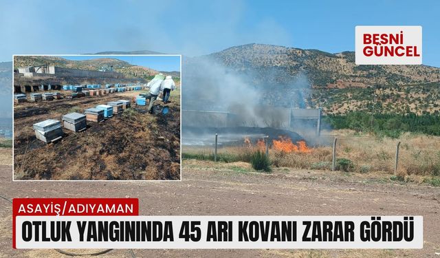 Otluk yangınında 45 arı kovanı zarar gördü