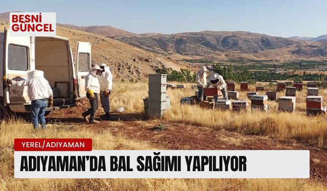 Adıyaman’da bal sağımı yapılıyor