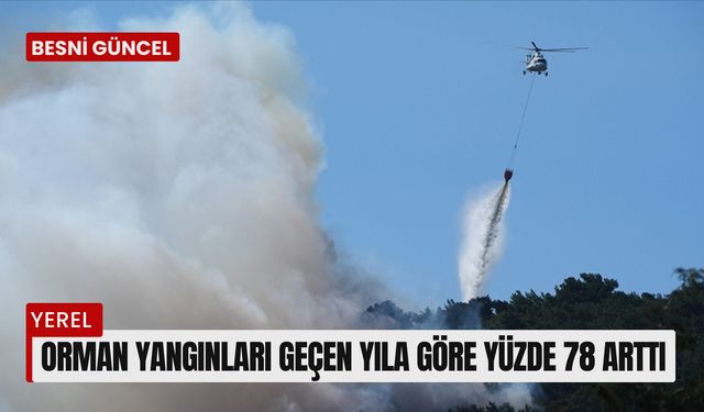 Orman yangınları geçen yıla göre yüzde 78 arttı