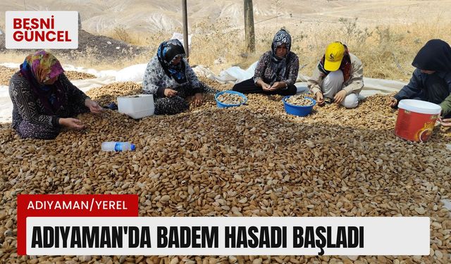 Adıyaman’da badem hasadı başladı