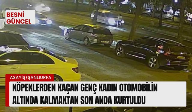 Köpeklerden kaçan kadın otomobile çarpmaktan son anda kurtuldu