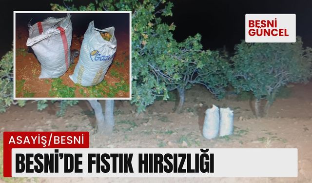 Besni’de ağaçlardan fıstık çalarken yakalandılar