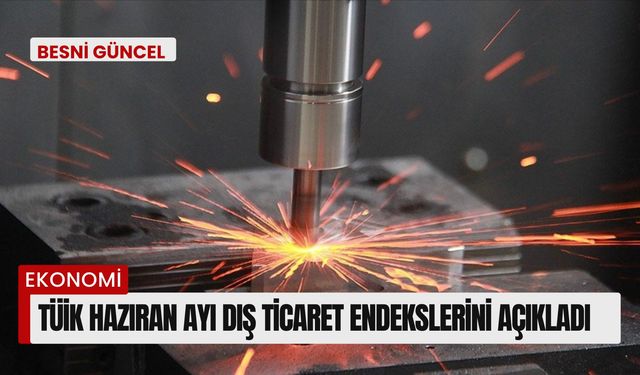 TÜİK haziran ayı dış ticaret endekslerini açıkladı