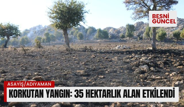 Adıyaman’da korkutan yangın: 35 hektarlık alan etkilendi