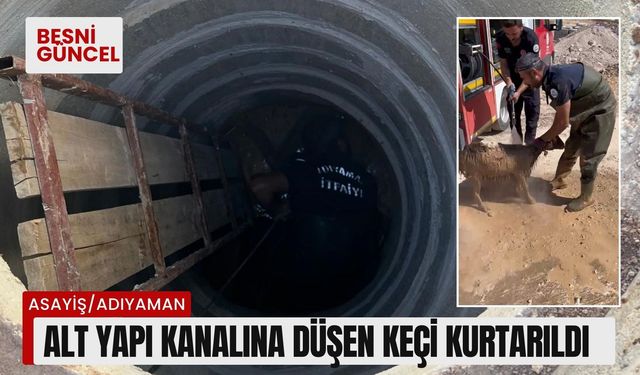 Adıyaman'daki Alt yapı kanalına düşen keçi kurtarıldı