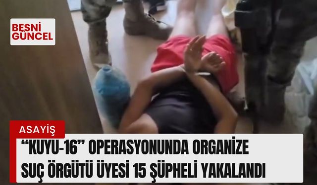 Organize suç örgütü üyesi 15 şüpheli yakalandı