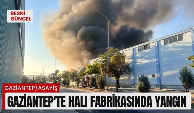 Gaziantep’te halı fabrikasında yangın