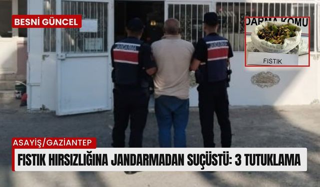 Fıstık hırsızlığına jandarmadan suçüstü: 3 tutuklama