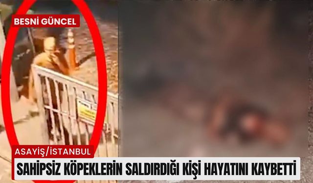 Sahipsiz köpeklerin saldırdığı kişi hayatını kaybetti