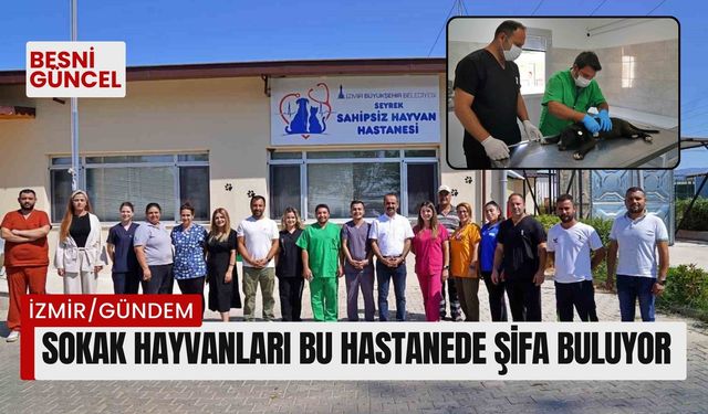 Sokak hayvanları bu hastanede şifa buluyor