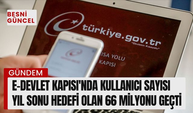 e-Devlet Kapısı'nda kullanıcı sayısı 66 milyonu geçti