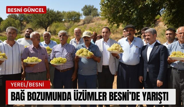 Besni’de Bağ Bozumu Renkli Görüntülere Sahne Oldu