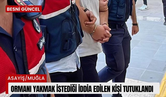 Ormanı yakmak istediği iddia edilen kişi tutuklandı